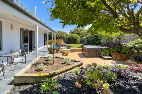 Photo of property in 8a Regent Place, Witherlea, Blenheim, 7201