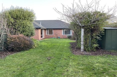 Photo of property in 17 Meadow Street, Papanui, Christchurch, 8052