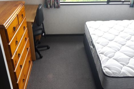 Photo of property in 93 Queen Street, North Dunedin, Dunedin, 9016