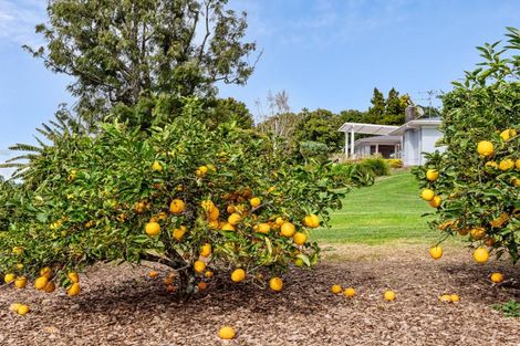 Photo of property in 24b Pahoia Road, Whakamarama, Tauranga, 3172