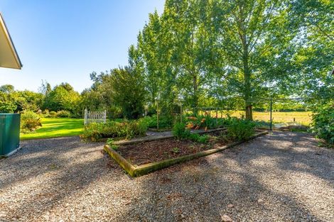 Photo of property in 119 Cox Street, Geraldine, 7930