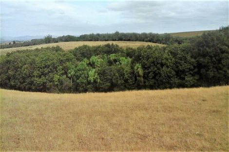 Photo of property in 174 Morrison Road, Pukekawa, Tuakau, 2696