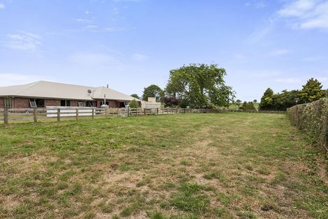 Photo of property in 165 Buckland Road, Matamata, 3472