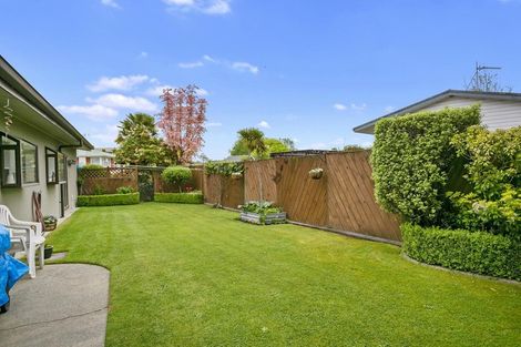 Photo of property in 13 Thornton Street, Putaruru, 3411