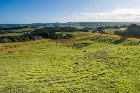 Photo of property in 485 Kiwitahi Road, Helensville, 0875