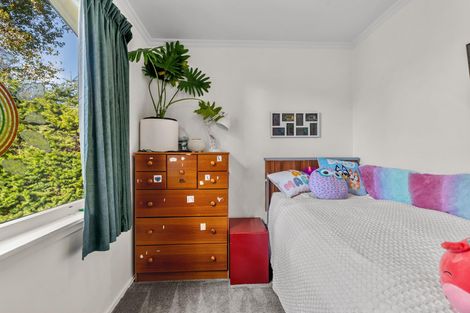 Photo of property in 25 Totara Terrace, Wanaka, 9305
