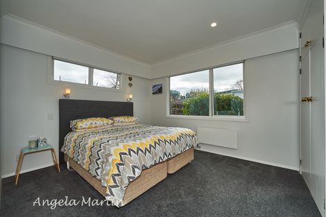 Photo of property in 19 Newcastle Street, Hokowhitu, Palmerston North, 4410