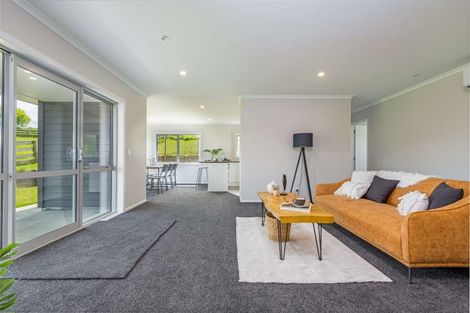 Photo of property in 13 Ingham Street, Halcombe, 4779