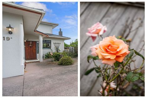 Photo of property in 19b Brinkley Road, Otumoetai, Tauranga, 3110