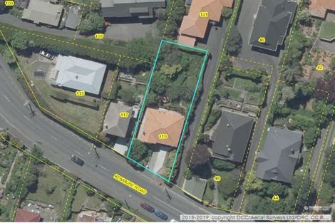 Photo of property in 119 Kenmure Road, Belleknowes, Dunedin, 9011