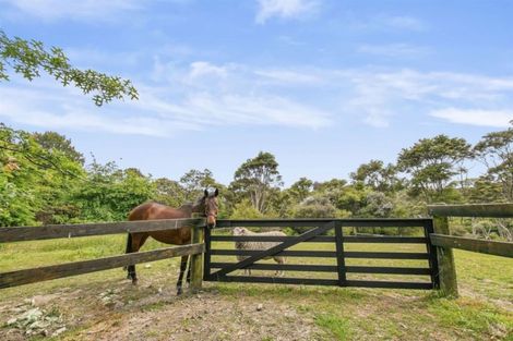 Photo of property in 243 Clevedon Kawakawa Road, Clevedon, Papakura, 2585