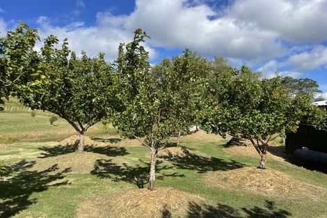 Photo of property in Dunkerron Farm, 852 Oneriri Road, Kaiwaka, 0573