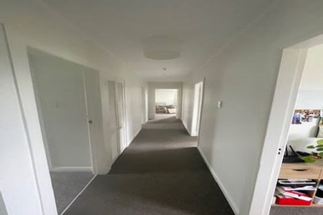 Photo of property in 3/21 Harrold Street, Aro Valley, Wellington, 6012