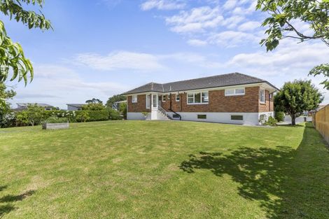 Photo of property in 100 Palmers Road, Clendon Park, Auckland, 2103