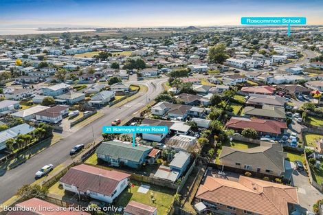 Photo of property in 31 Barneys Farm Road, Clendon Park, Auckland, 2103