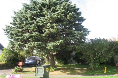 Photo of property in 7 Gainsborough Grove, Highbury, Palmerston North, 4412