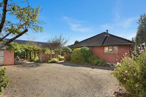 Photo of property in 84 Winchester Street, Merivale, Christchurch, 8014