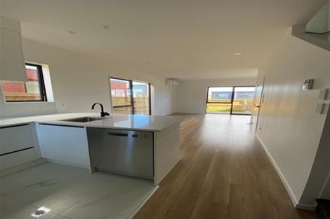 Photo of property in 17 Hearth Street, Flat Bush, Auckland, 2019