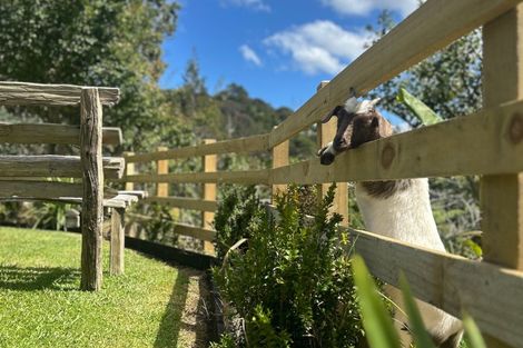 Photo of property in 478 The 309 Road, Waiau, Coromandel, 3581