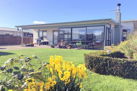 Photo of property in 14 Stiles Avenue, Waipukurau, 4200