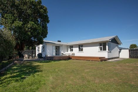 Photo of property in 284 Tremaine Avenue, Takaro, Palmerston North, 4412