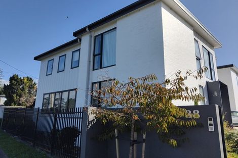 Photo of property in 38a Links Road, New Lynn, Auckland, 0600