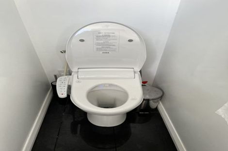 Photo of property in 103 Maeroa Road, Maeroa, Hamilton, 3200