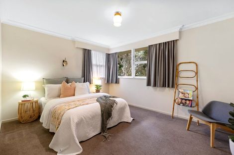 Photo of property in 19 Regent Street, Brookfield, Tauranga, 3110