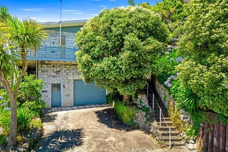 Photo of property in 48 Portal Street, Durie Hill, Whanganui, 4500
