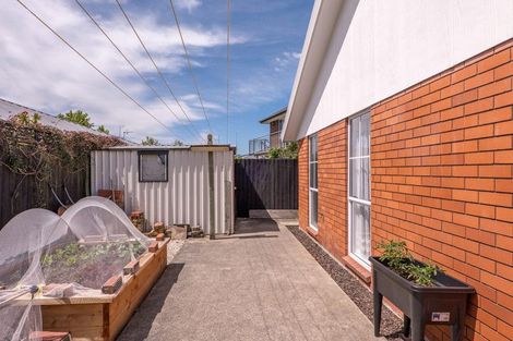 Photo of property in 131 Winters Road, Mairehau, Christchurch, 8052