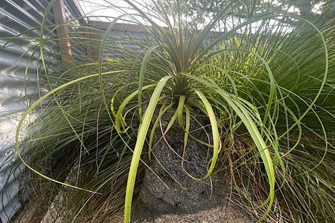 Photo of property in 37 Grey Street, Shannon, 4821