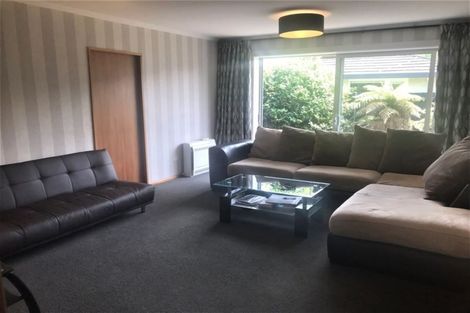 Photo of property in 13 Straven Road, Riccarton, Christchurch, 8011