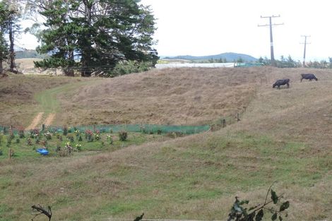 Photo of property in 225 Te Akau Road, Waingaro, Ngaruawahia, 3793