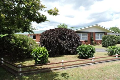 Photo of property in 6 Burwood Road, Matamata, 3400