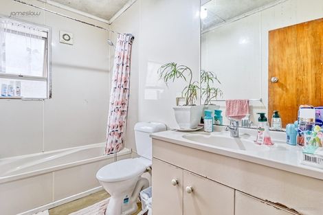 Photo of property in 50 Webster Avenue, Mount Roskill, Auckland, 1041