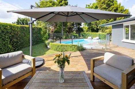 Photo of property in 19 Wymer Terrace, Chartwell, Hamilton, 3210