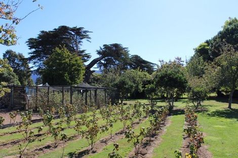 Photo of property in 1118 Collingwood-bainham Main Road, Rockville, Collingwood, 7073