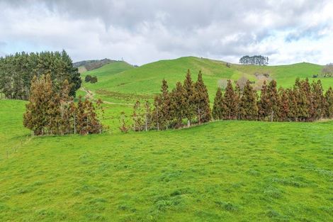 Photo of property in 405 Falls Road, Waerenga, Te Kauwhata, 3782