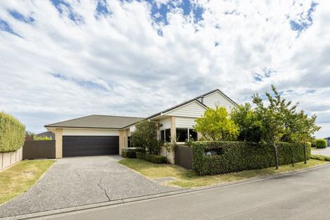 Photo of property in 6 Scott Place, Havelock North, 4130