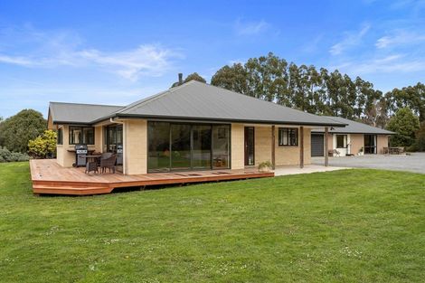 Photo of property in 167 Marshmans Road, Ashley, Rangiora, 7477