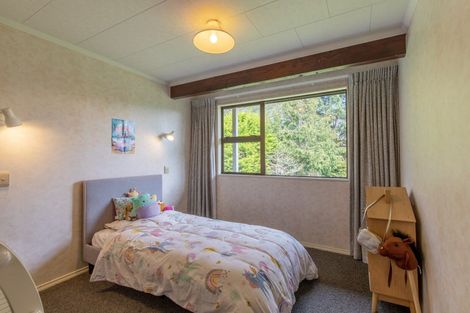 Photo of property in 134b Tipapakuku Road, Dannevirke, 4930