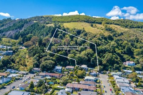 Photo of property in 101 Cambria Street, The Wood, Nelson, 7010