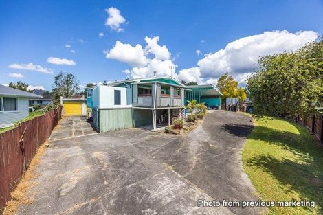 Photo of property in 50 Harrington Road, Henderson, Auckland, 0610