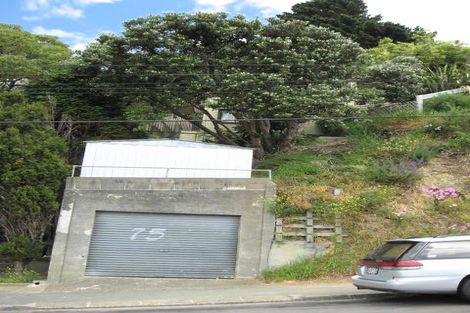 Photo of property in 75 Farnham Street, Mornington, Wellington, 6021