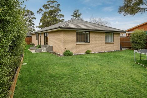 Photo of property in 28 John Raven Lane, Woodend, 7610