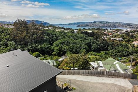 Photo of property in 10 Carson Street, Mornington, Dunedin, 9011