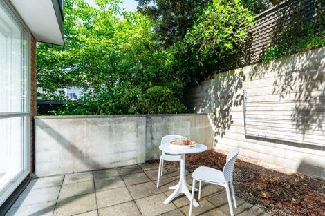 Photo of property in The Altair, 52/120 Rintoul Street, Newtown, Wellington, 6021