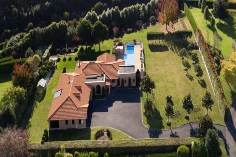 Photo of property in 88 Freeburn Road, Pyes Pa, Tauranga, 3112