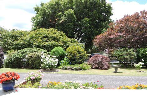 Photo of property in 6 Burwood Road, Matamata, 3400