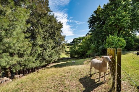 Photo of property in 73b Youngson Road, Whakamarama, Tauranga, 3180